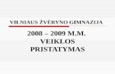 200 8  –  200 9  M.M.  VEIKLOS PRISTATYMAS
