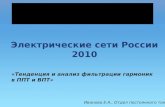 Электрические сети России 2010