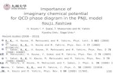 Importance of  imaginary chemical potential  for QCD phase diagram in the PNJL model