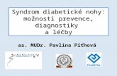Syndrom diabetické nohy: možnosti prevence, diagnostiky  a léčby