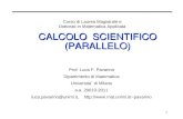 CALCOLO  SCIENTIFICO (PARALLELO)
