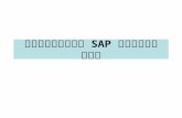 การใช้งาน  SAP  เบื้องต้น