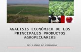 ANALISIS ECONÓMICO DE LOS PRINCIPALES PRODUCTOS AGROPECUARIOS