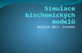 Simulace biochemických modelů