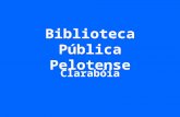 Biblioteca Pública Pelotense
