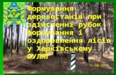 Формування деревостанів при здійсненні рубок формування і оздоровлення лісів у Харківському ОУЛМГ