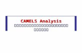 CAMELS Analysis วิเคราะห์ทางการเงินของสหกรณ์