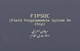 FIPSOC (Field Programmable System On Chip)