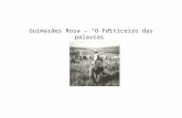 Guimarães Rosa – “O Feiticeiro das palavras”