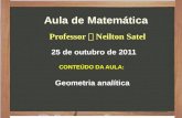 Professor    Neilton Satel