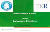 Investissements d’avenir --- Action Equipements d’Excellence