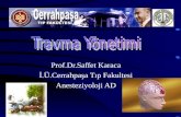 Prof.Dr.Saffet Karaca İ.Ü.Cerrahpaşa Tıp Fakultesi Anesteziyoloji AD