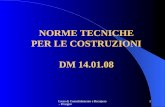 NORME TECNICHE PER LE COSTRUZIONI DM 14.01.08