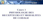 Cours 1 PHYSIOLOGIE DES RECEPTEURS ET MODALITES DE CODAGE