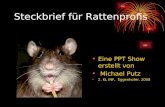 Steckbrief für Rattenprofis