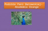Podróże Pani Batowskiej-     Akademia Orange