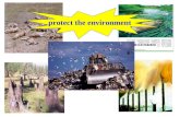 protect the environment