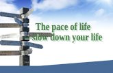 The pace of life —slow down your life