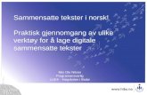Nils Ole Nilsen Programansvarlig LUKK - Høgskolen i Bodø