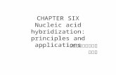 CHAPTER SIX Nucleic acid hybridization: principles and applications