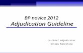 BP novice 2012  Adjudication Guideline