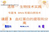 选修一 生物技术实践 专题 5   DNA 和蛋白质技术 课题 3   血红蛋白的提取和分离