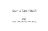 SDN & OpenStack