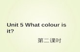 Unit 5 What colour is it? 第二课时