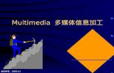 Multimedia  多媒体信息加工