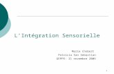 L’Intégration Sensorielle