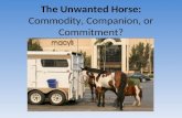 The Unwanted Horse: Commodity, Companion, or Commitment?