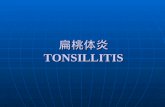 扁桃体炎 TONSILLITIS