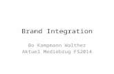 Brand Integration