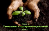 Класс 5 Т ехнология выращивания растений Урок 1