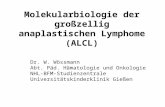 Dr. W. Wössmann Abt. Päd. Hämatologie und Onkologie NHL-BFM-Studienzentrale