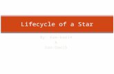 Lifecycle of a Star