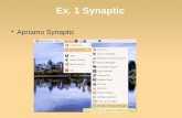 Ex. 1 Synaptic
