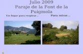Julio 2009 Paraje de la Font de la  Puigmola