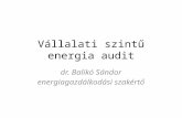 Vállalati szintű energia audit