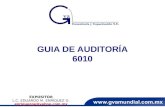GUIA DE AUDITORÍA 6010