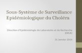 Sous- Système  de Surveillance  Epidémiologique  du  Choléra