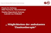 Praxis Dr.Hellweg HNO Facharzt, Neurootologe