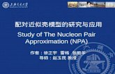 Study of The Nucleon Pair Approximation (NPA)