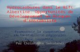 Hydrocarbures dans le Rift Albertine: Opportunités de Développement ou Risques d’instabilité