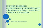 Úspory energie, energetická efektívnosť Význam pre život a prácu v obci a v regióne