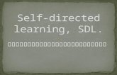 Self-directed  learning, SDL .