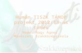 Humán TISZK TÁMOP projekt 2012/13-as tanév