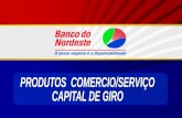 PRODUTOS  COMERCIO/SERVIÇO CAPITAL DE GIRO