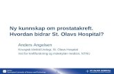 Ny kunnskap om prostatakreft. Hvordan bidrar St. Olavs Hospital?