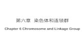 第六章 染色体和连锁群 Chapter 6 Chromosome and Linkage Group